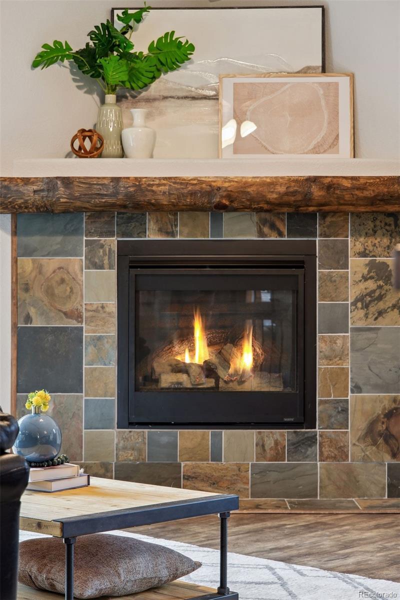 208 Virginia Road Bailey, CO 80421 - Photo 10 of 37 Gallery Image 10