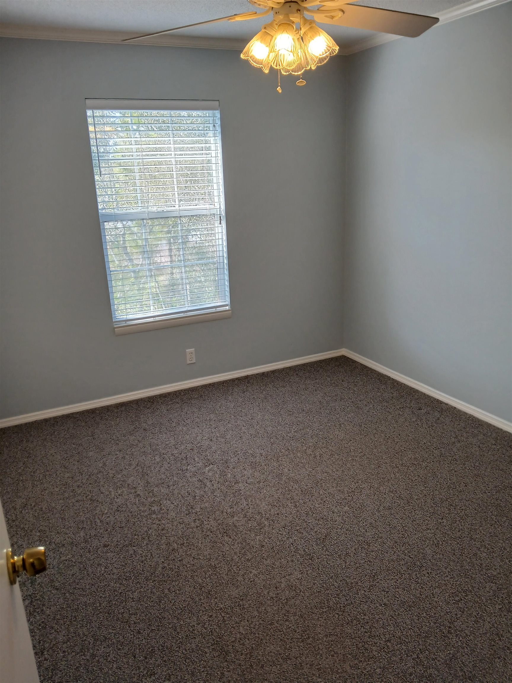 669 Bald Point Road Panacea, FL 32346 - Photo 11 of 43