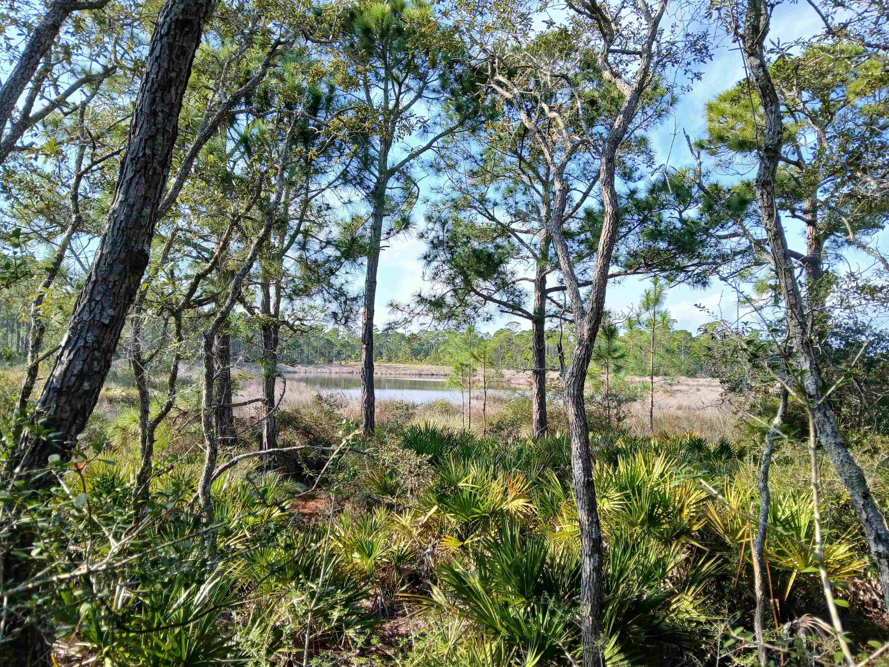 669 Bald Point Road Panacea, FL 32346 - Photo 14 of 43