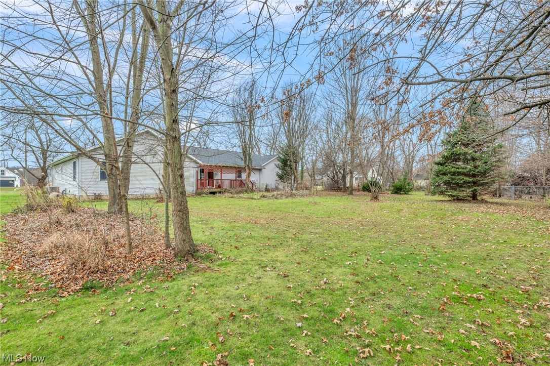 35808 Lorain Road North Ridgeville, OH 44039 - Photo 34 of 35 View of yard