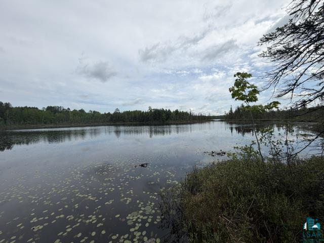 9064 Peppard Road Britt, MN 55710 - Photo 3 of 40 Expansive waterfront property featuring a tranquil lake with lily pads