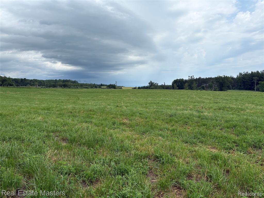 300 East Hubert Road Hubbard Lake, MI 49747 - Photo 11 of 17