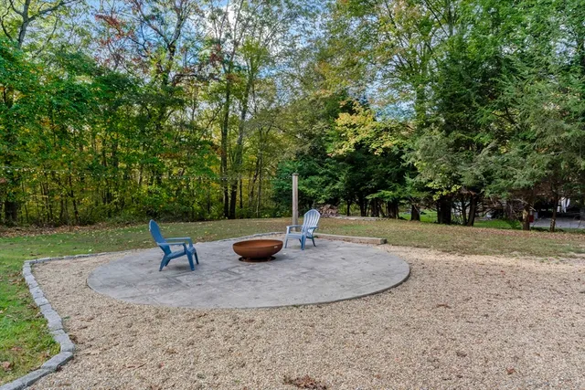 a view of a trees in a yard