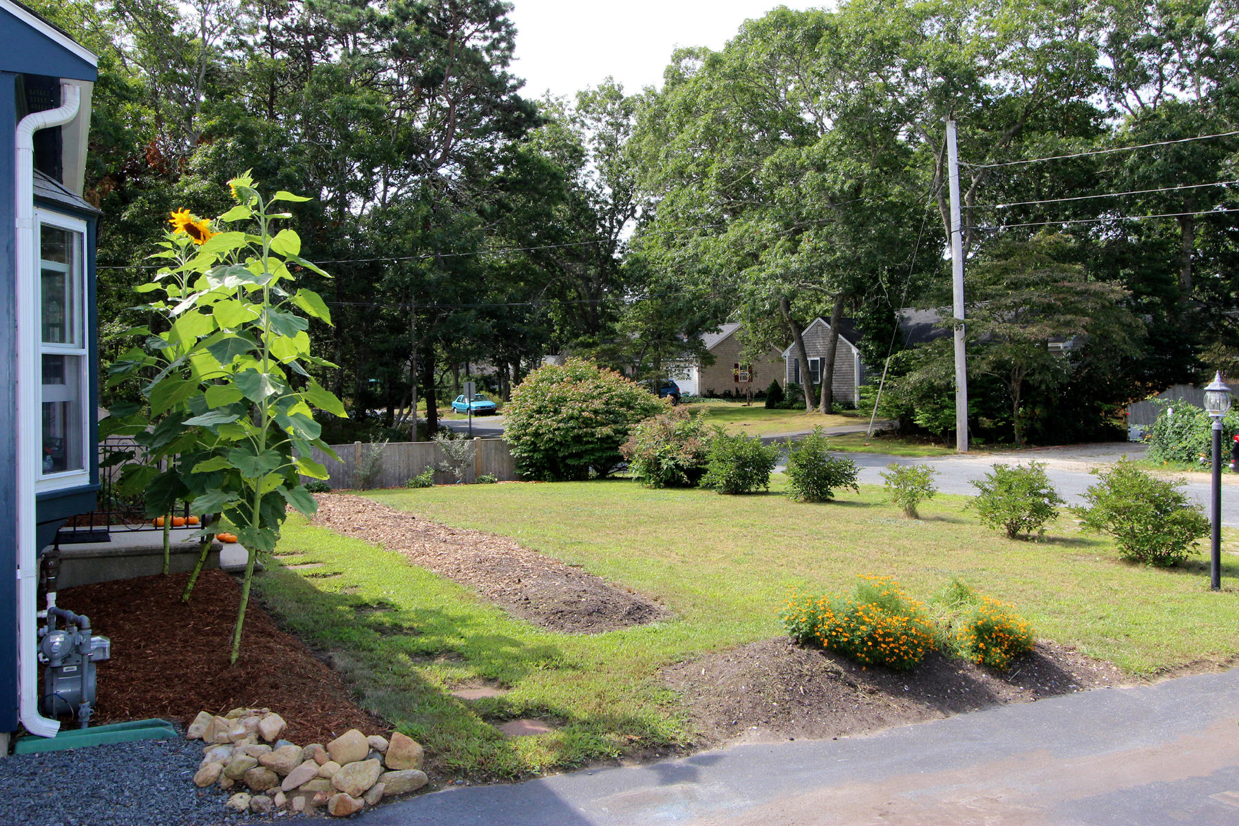 58 Colburne Path West Yarmouth, MA 02673 - Photo 2 of 39 a view of a backyard with plants and large trees