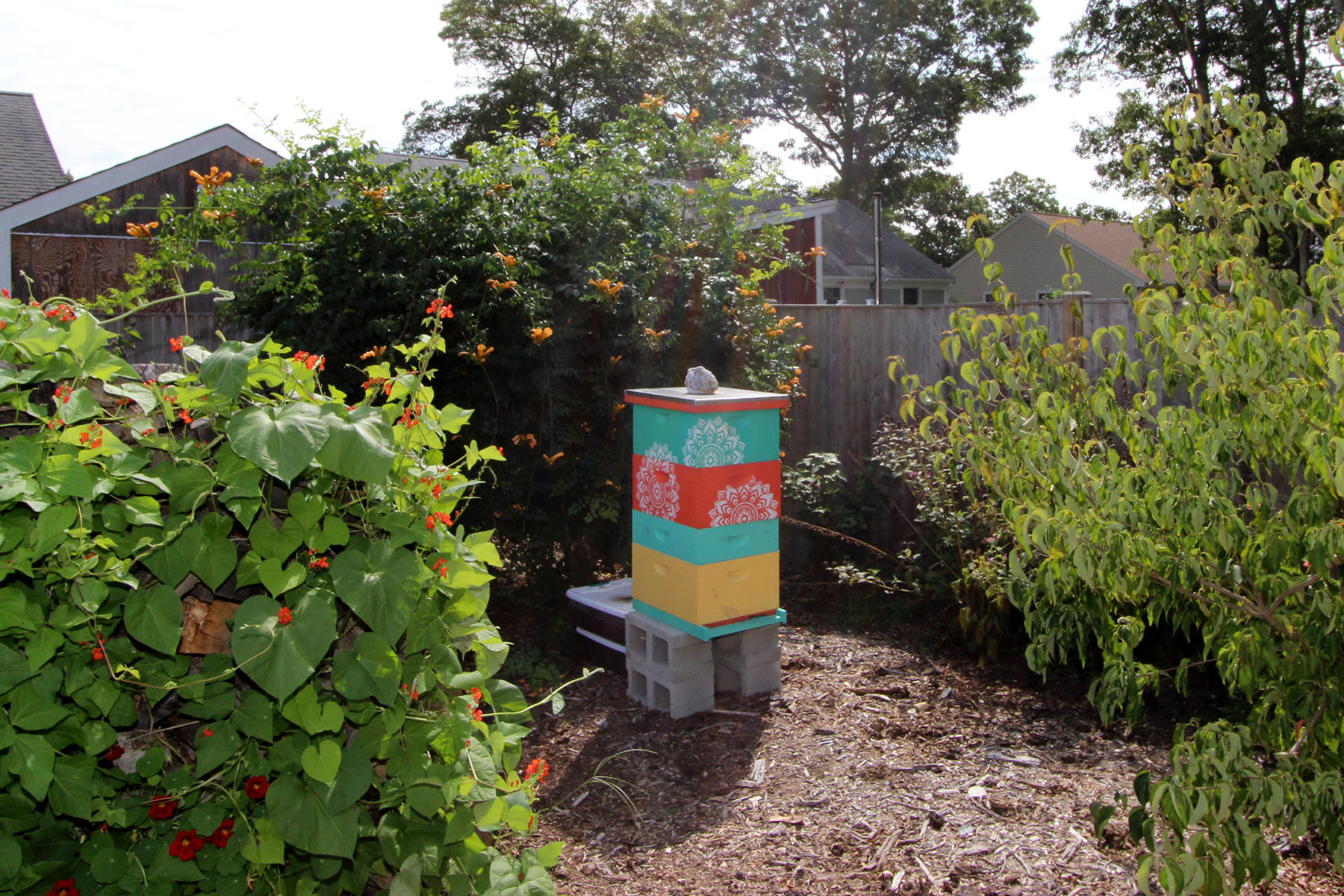 58 Colburne Path West Yarmouth, MA 02673 - Photo 38 of 39 a bench sitting in the middle of a yard