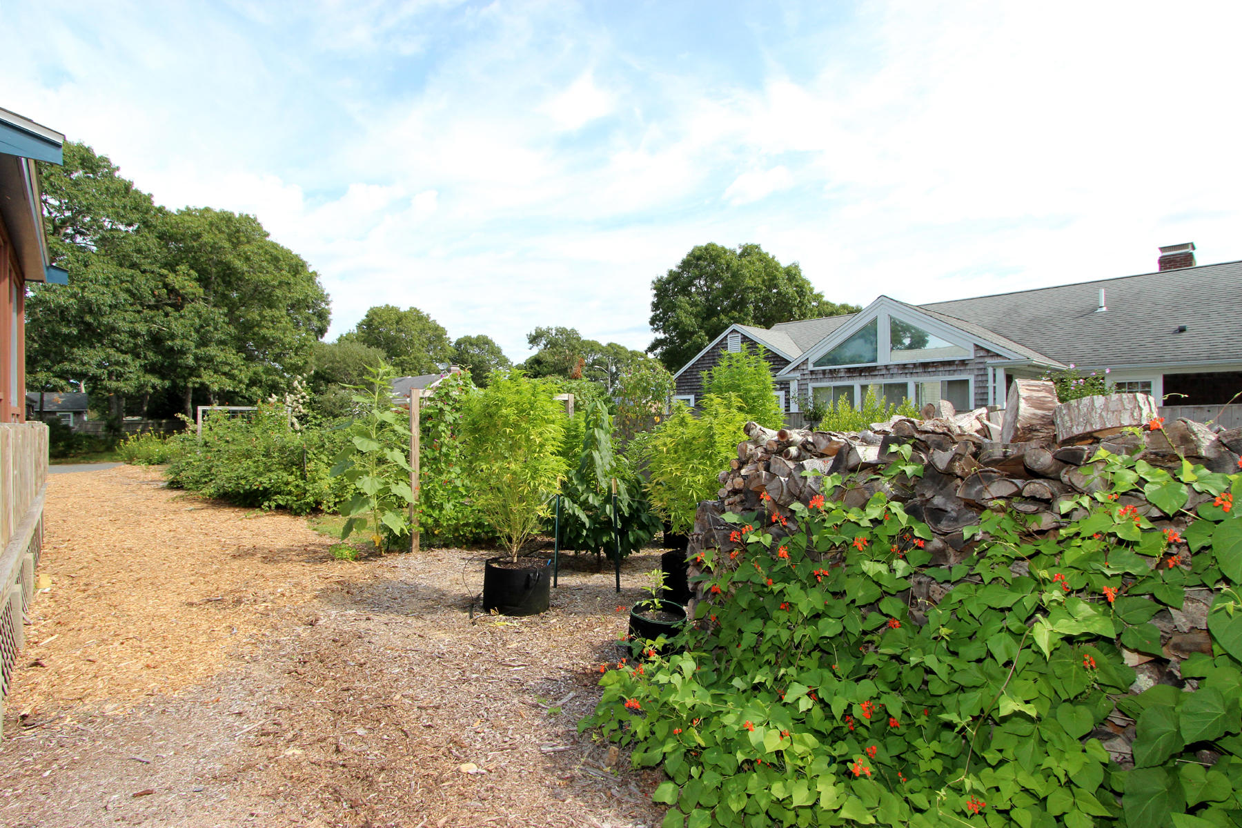 58 Colburne Path West Yarmouth, MA 02673 - Photo 10 of 39 an aerial view of a house with a yard and potted plants