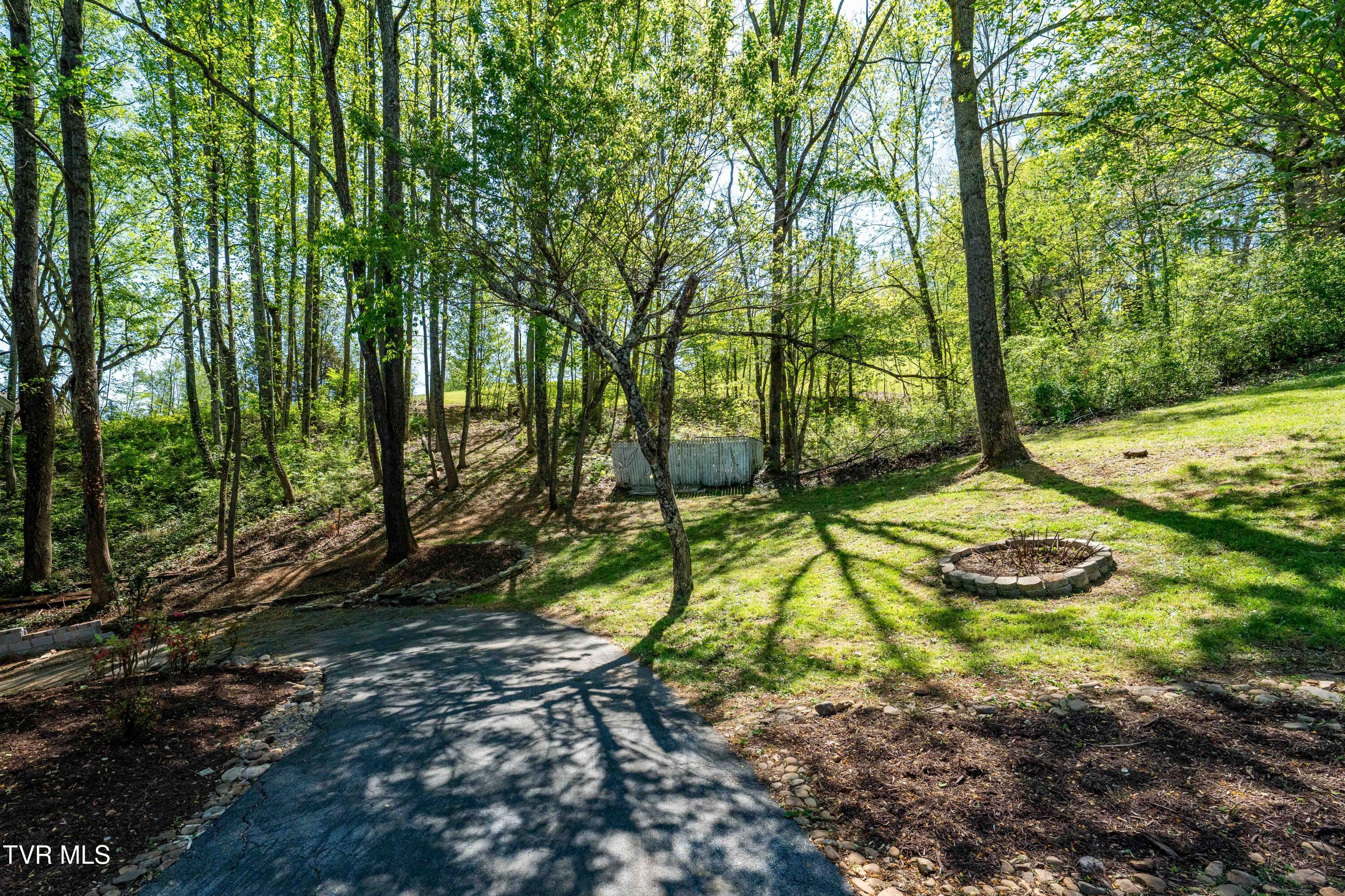 101 Knobb Hill Road Johnson City, TN 37601 - Photo 84 of 117 101 Knobb Hill Rd (51 of 118)