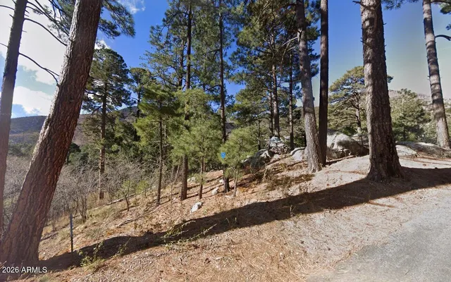 $126,999 | 12701 North Tucson Avenue, Unit 5, Mount Lemmon, AZ 85619