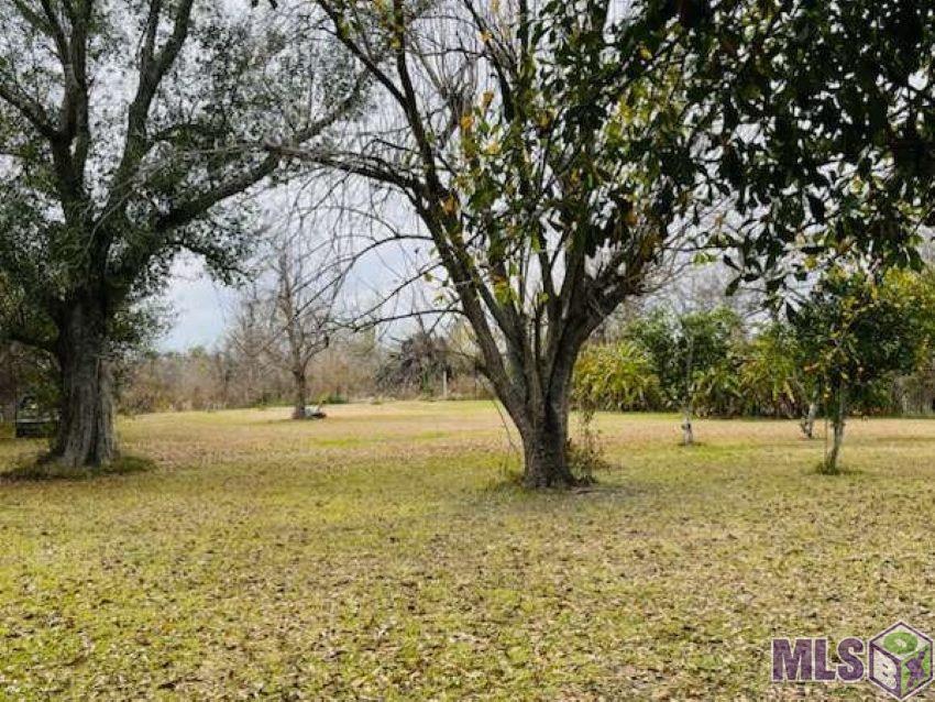 404 Aragon Road Montegut, LA 70377 - Photo 19 of 21 Gallery Image 19
