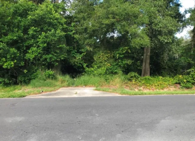 a view of outdoor space and yard