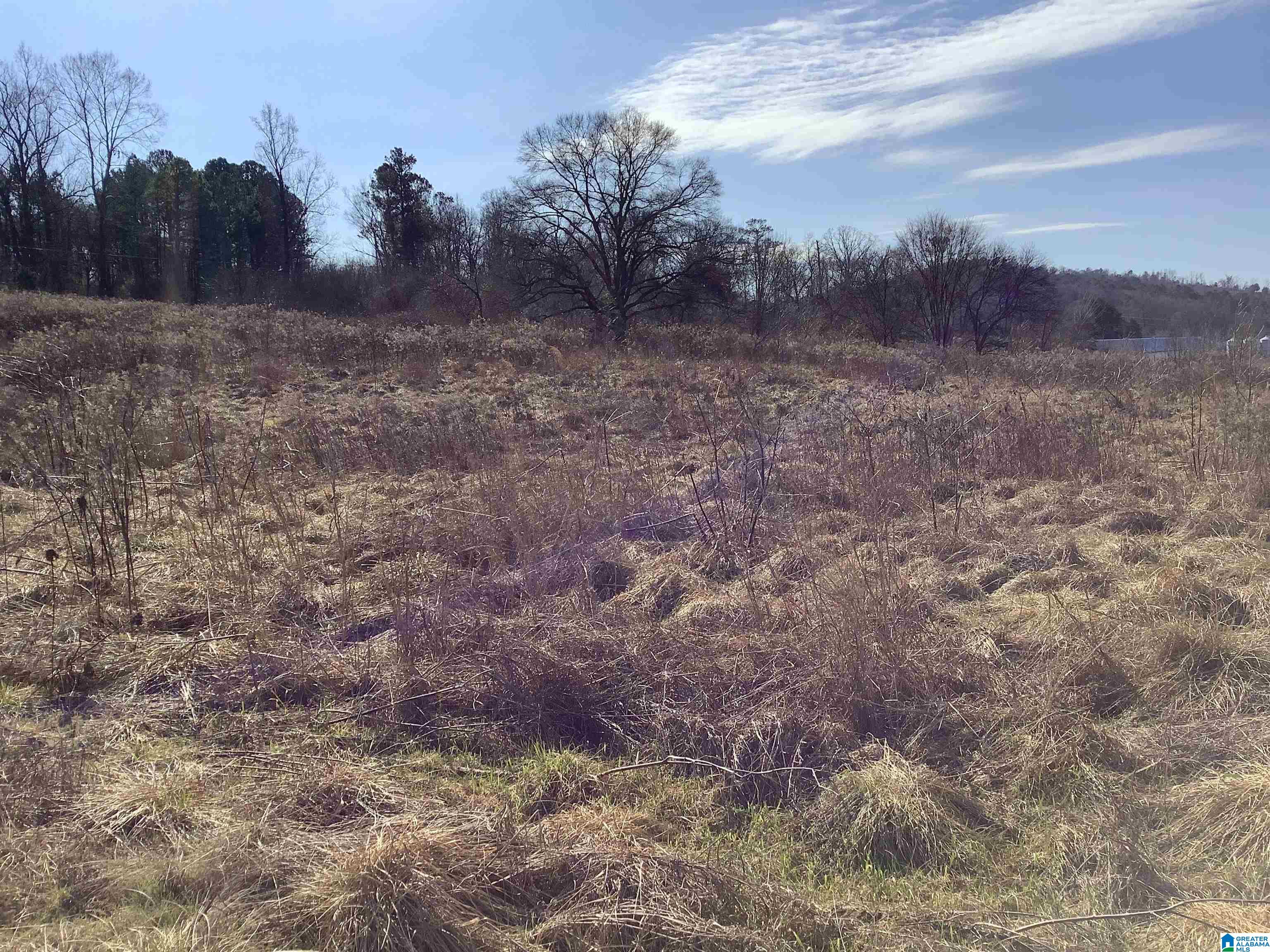 0 Highway 42 Oneonta, AL 35121 - Photo 5 of 8
