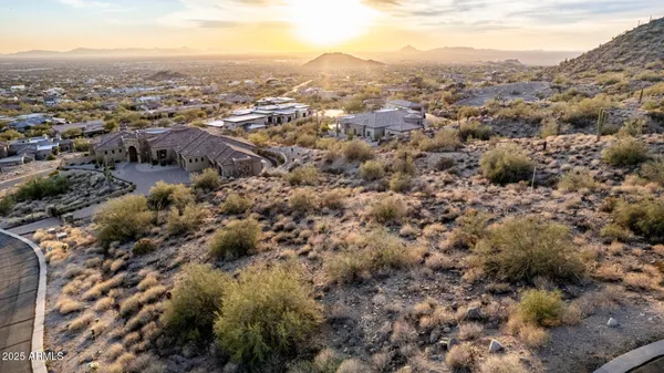 a close up of a tree