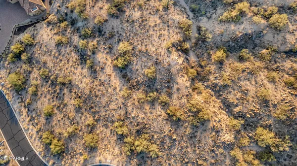 a view of a city with lush green forest