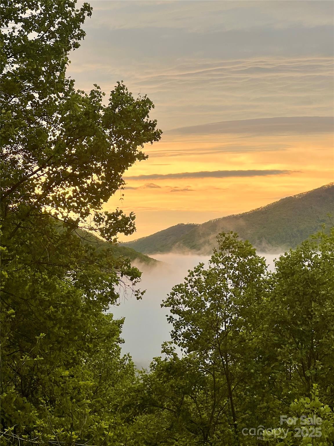 737 Setzercove Road Maggie Valley, NC 28751 - Photo 38 of 47