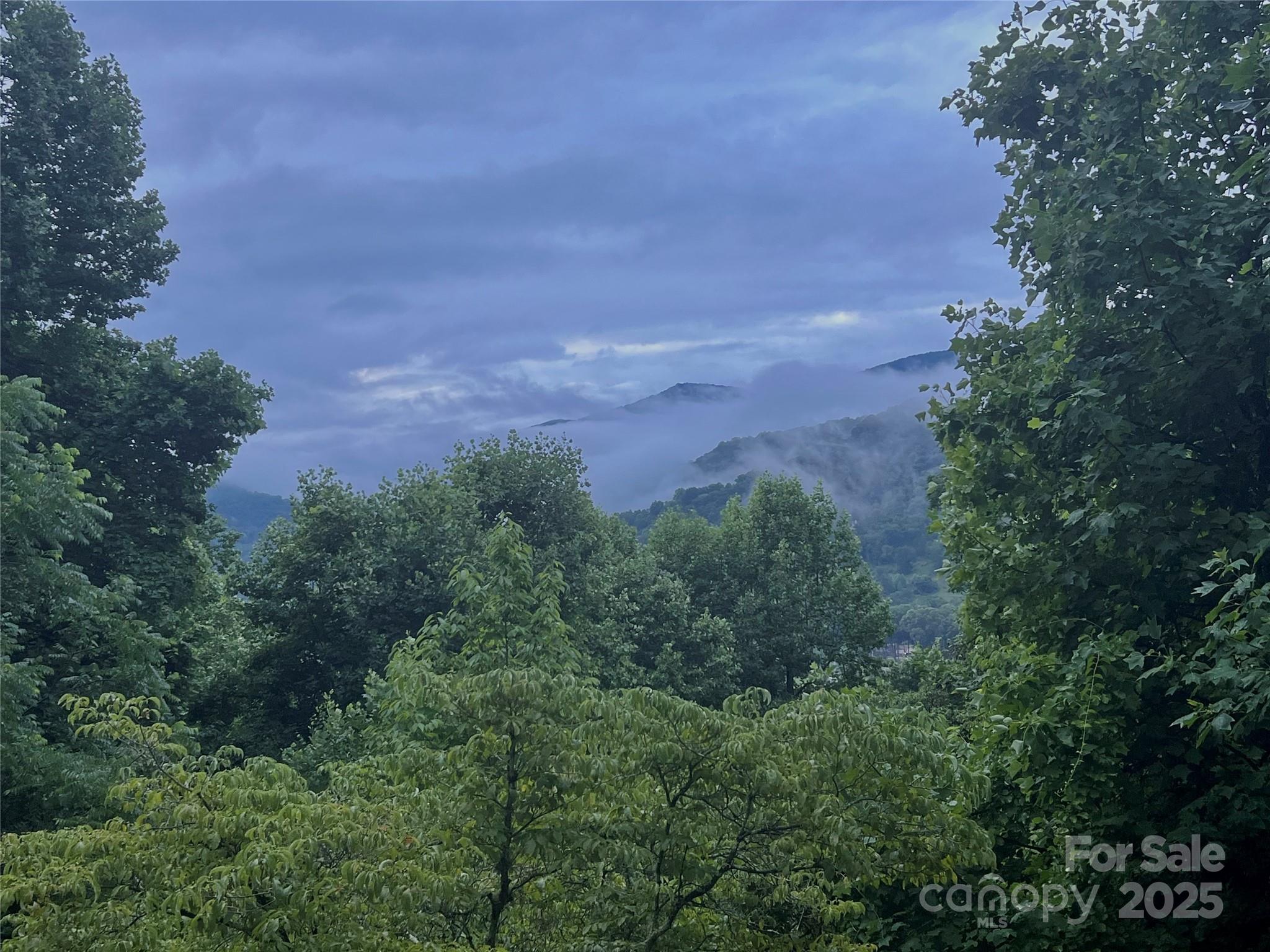 737 Setzercove Road Maggie Valley, NC 28751 - Photo 39 of 47