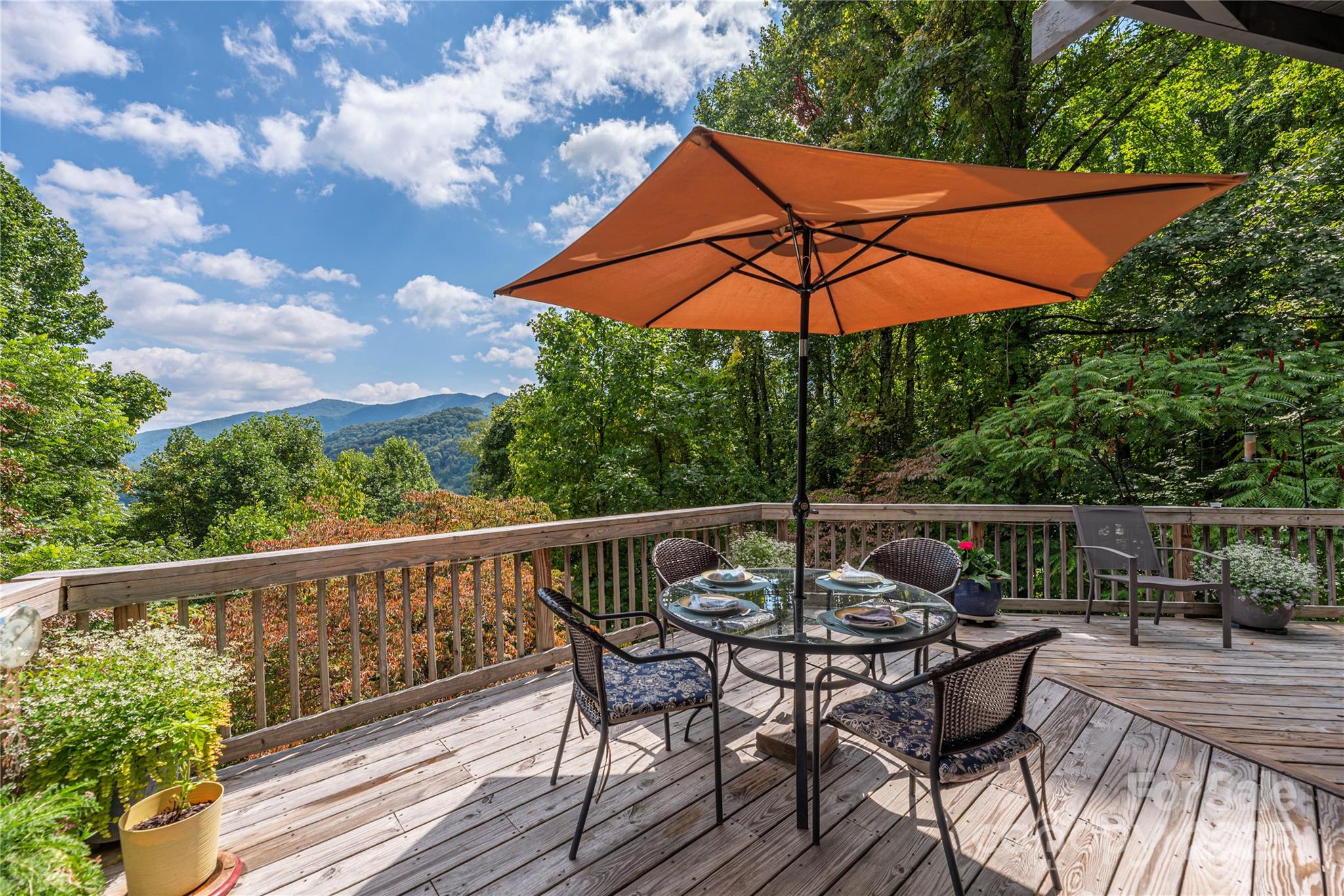 737 Setzercove Road Maggie Valley, NC 28751 - Photo 4 of 47
