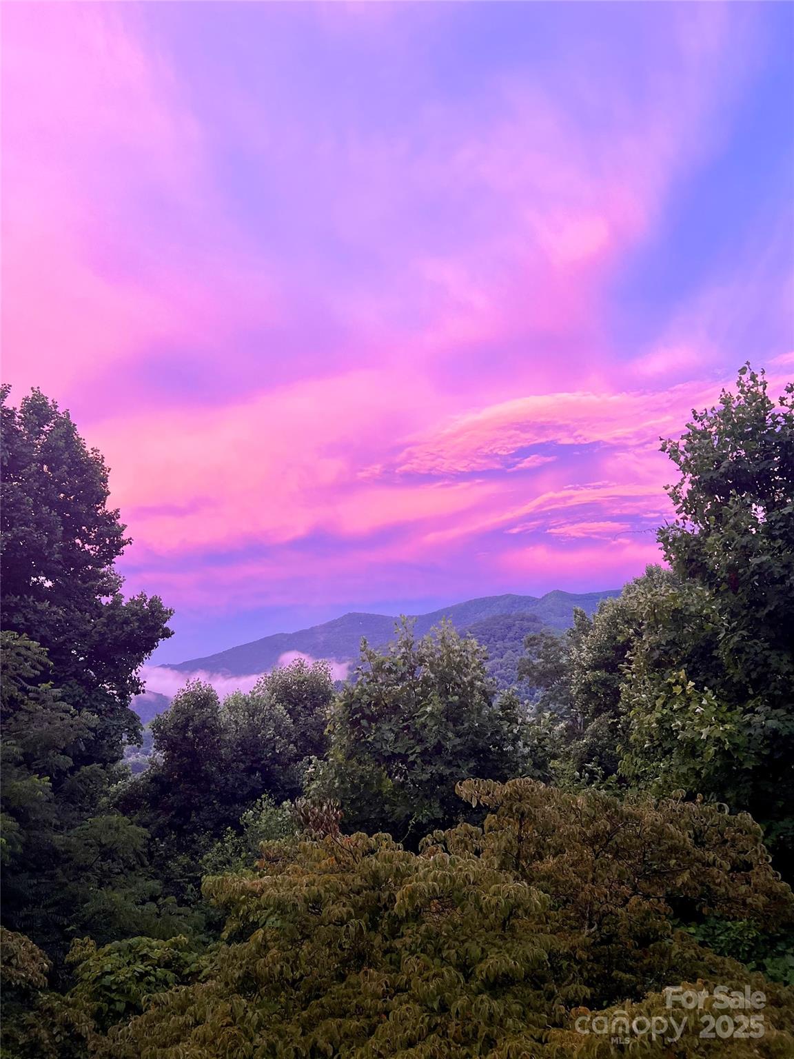 737 Setzercove Road Maggie Valley, NC 28751 - Photo 41 of 47