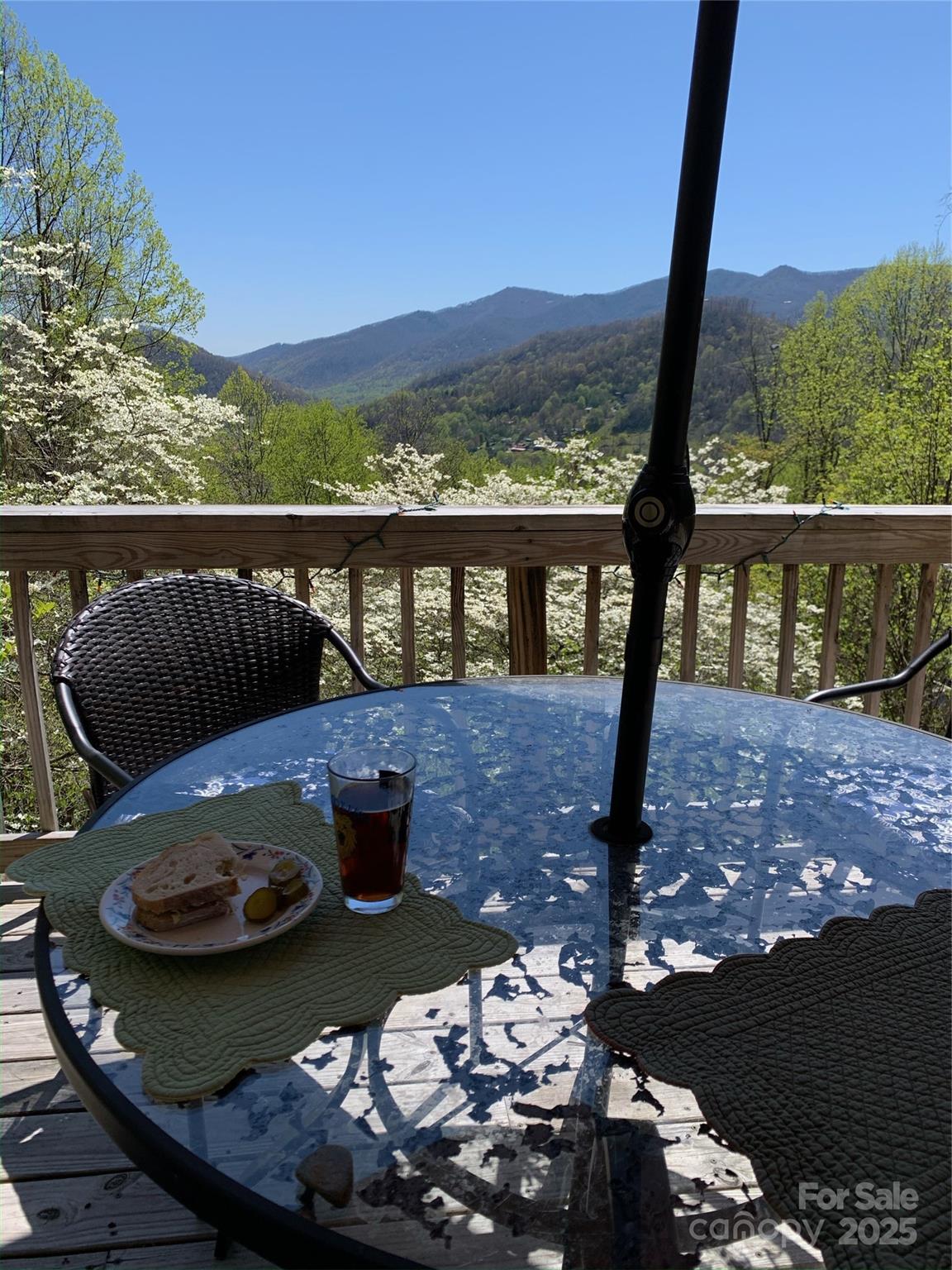 737 Setzercove Road Maggie Valley, NC 28751 - Photo 42 of 47