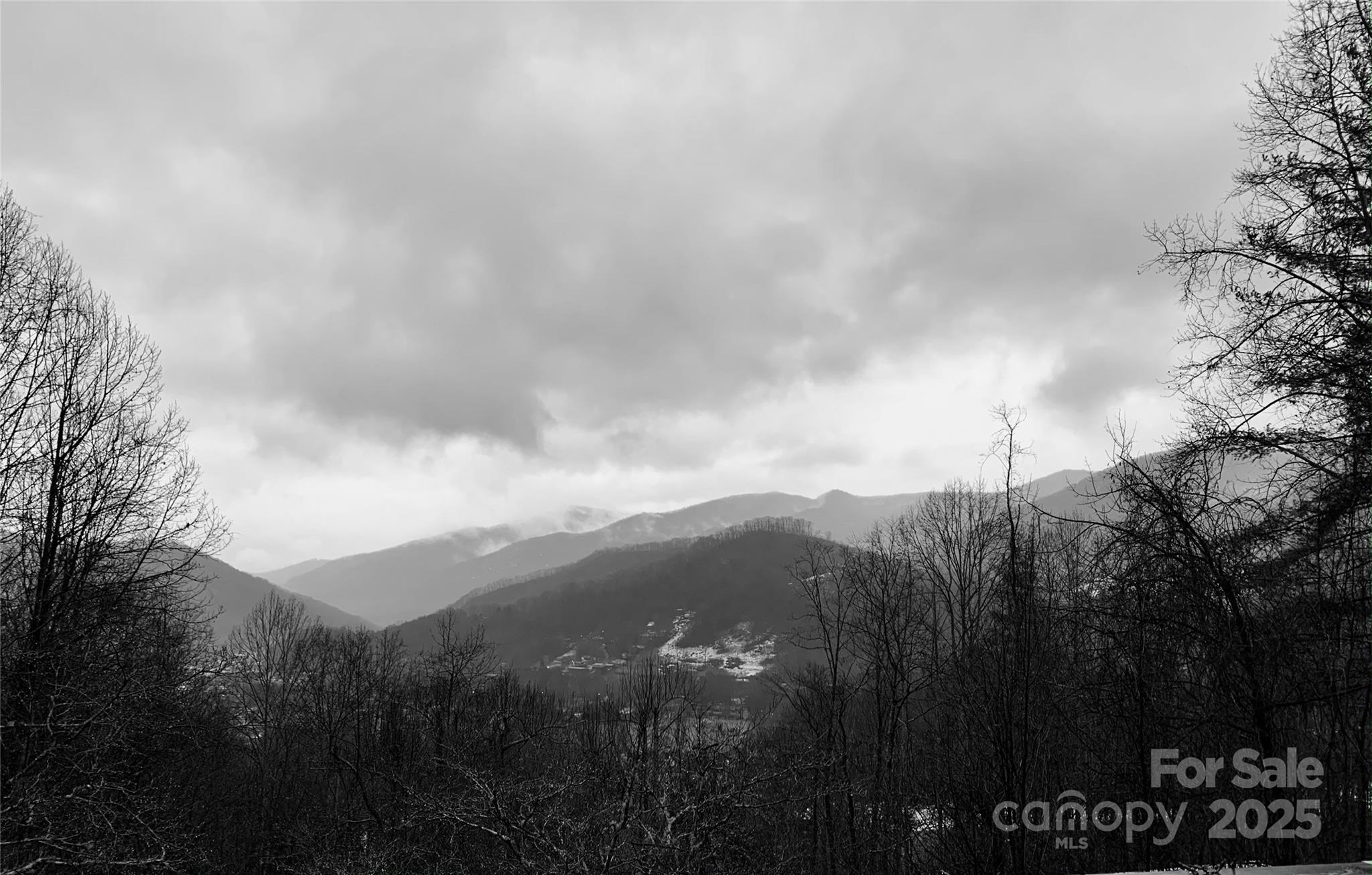 737 Setzercove Road Maggie Valley, NC 28751 - Photo 44 of 47