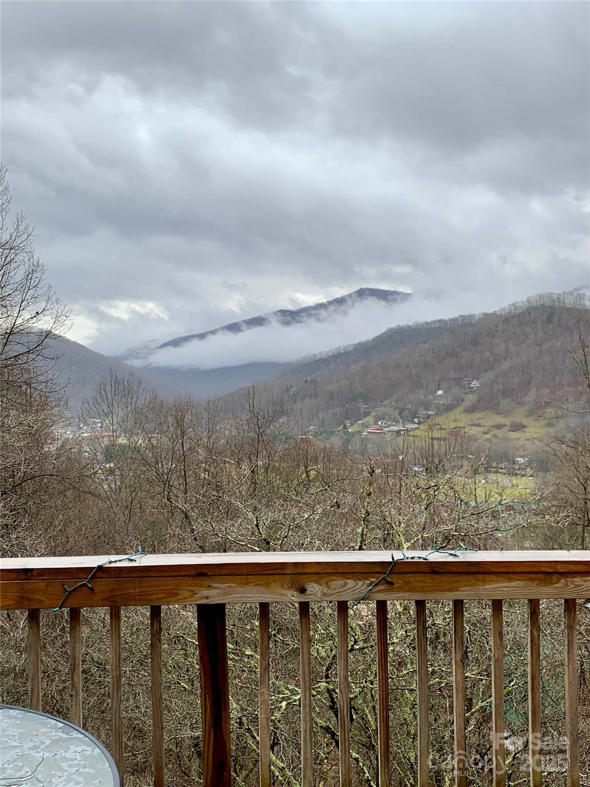 737 Setzercove Road Maggie Valley, NC 28751 - Photo 45 of 47