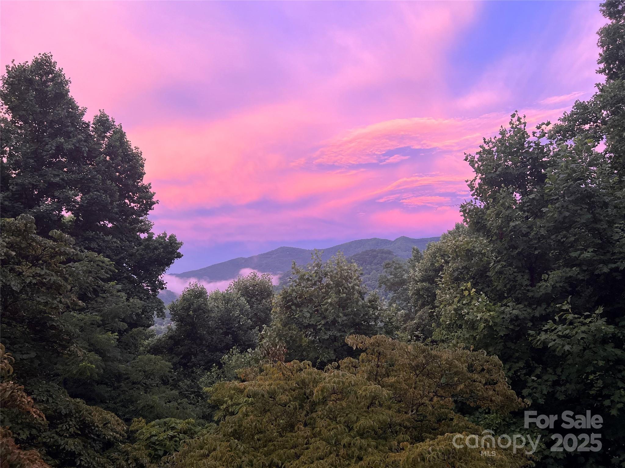 737 Setzercove Road Maggie Valley, NC 28751 - Photo 5 of 47