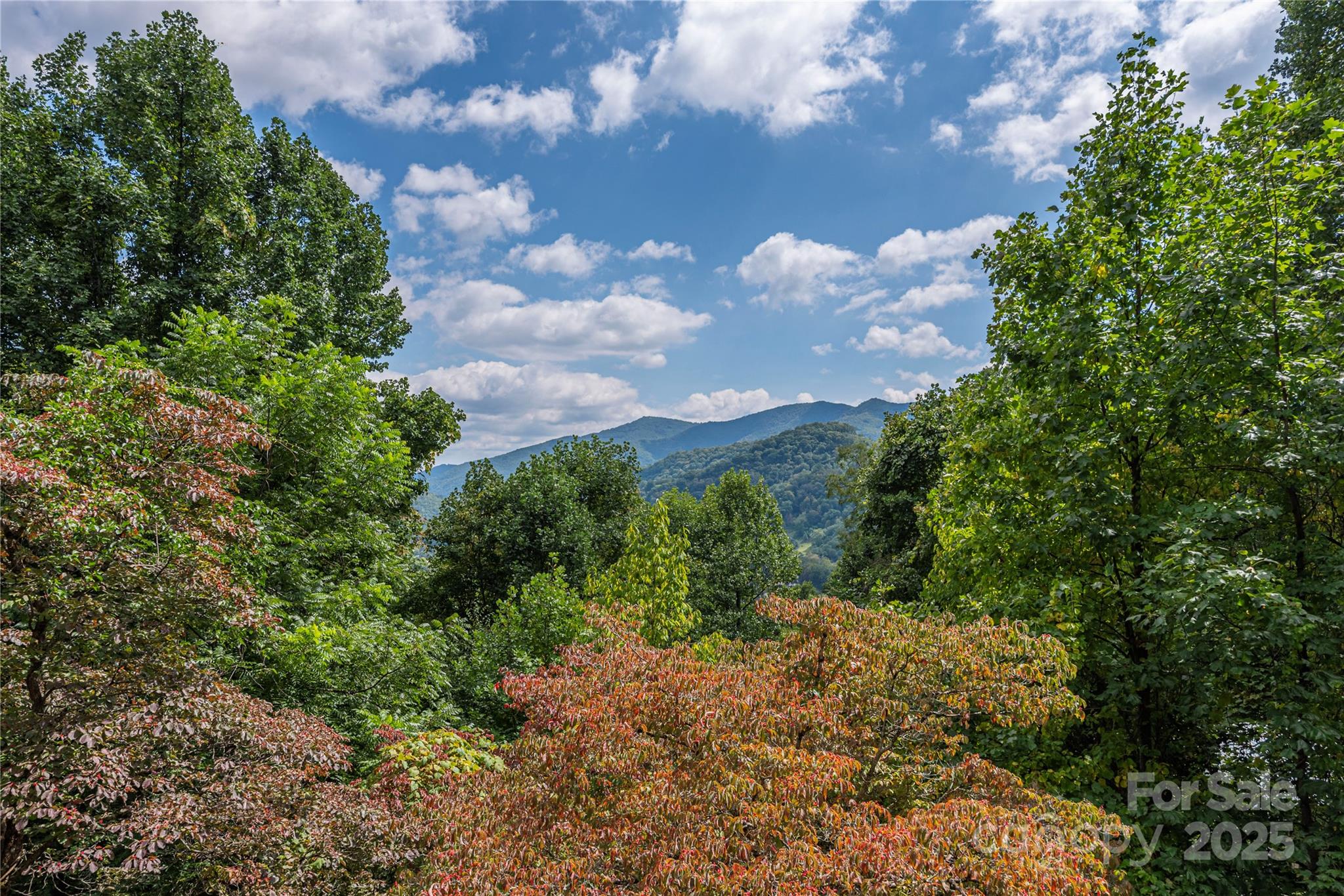 737 Setzercove Road Maggie Valley, NC 28751 - Photo 8 of 47