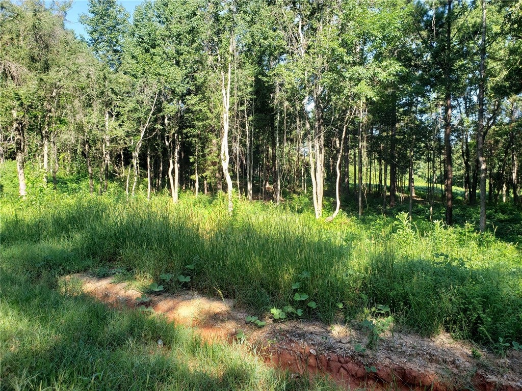 2480 Judge Brown Road Valley, AL 36854 - Photo 6 of 6 Gallery Image 6