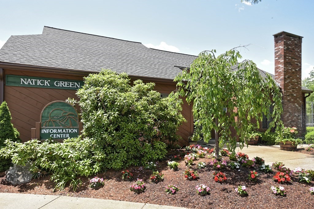 32 Silver Hill Lane, Unit 1 Natick, MA 01760 - Photo 26 of 36 a picture of flowers