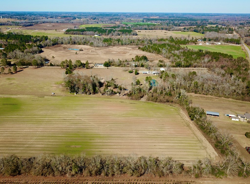 12.7-acres Nobles Road Dothan, AL 36301 - Photo 15 of 41