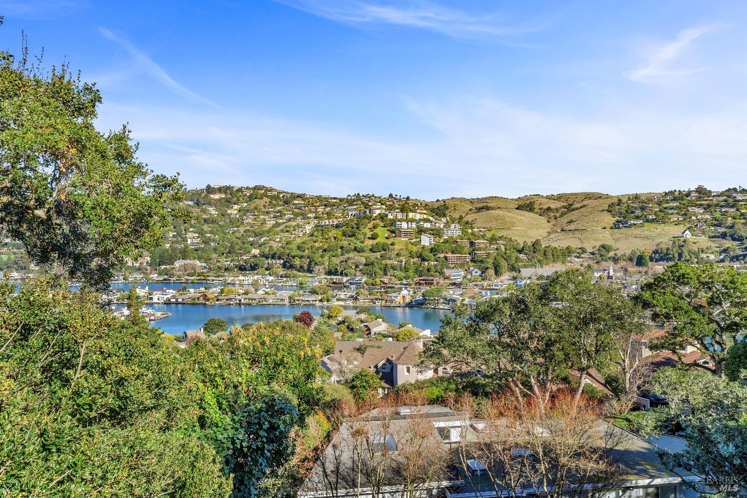 30 Bella Vista Avenue Belvedere, CA 94920 - Photo 11 of 89