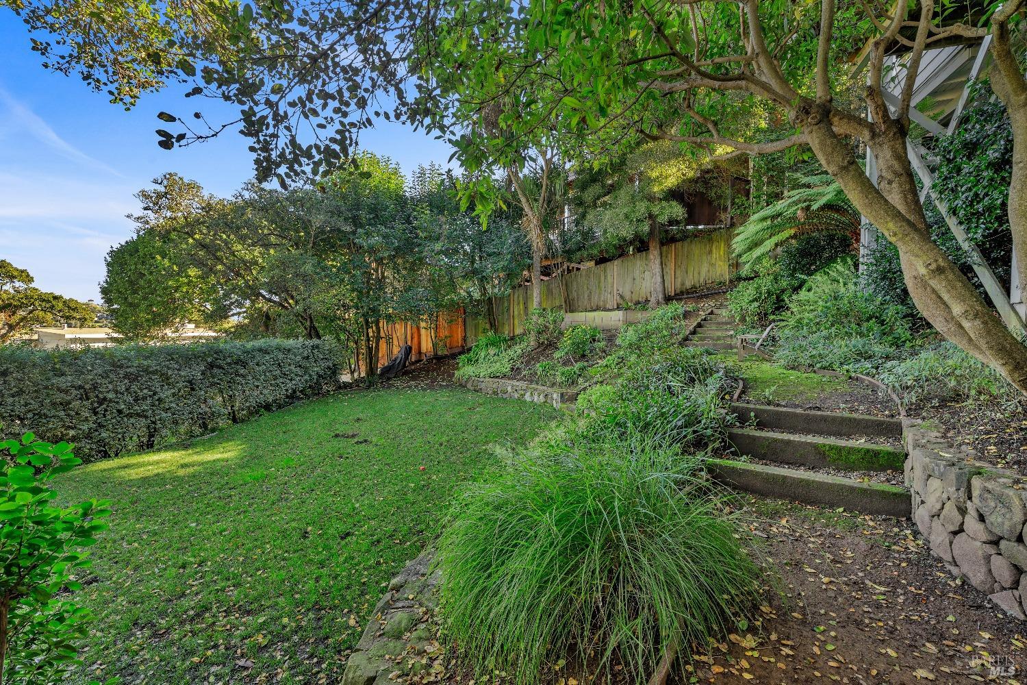 30 Bella Vista Avenue Belvedere, CA 94920 - Photo 69 of 89 a view of a garden