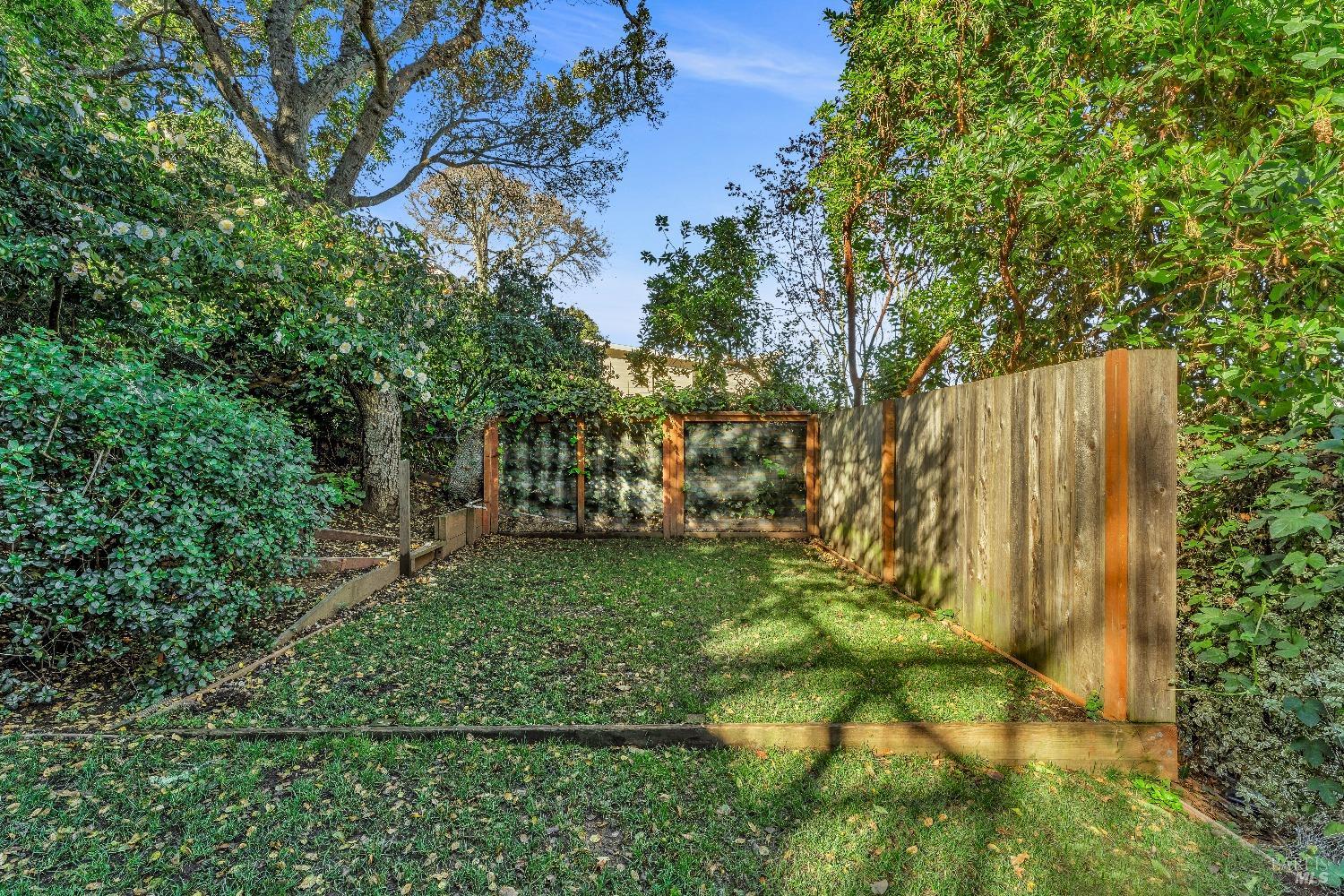30 Bella Vista Avenue Belvedere, CA 94920 - Photo 70 of 89 a view of yard with green space