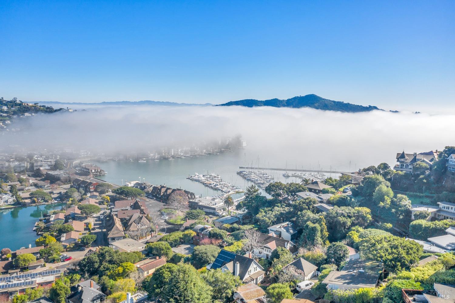 30 Bella Vista Avenue Belvedere, CA 94920 - Photo 85 of 89