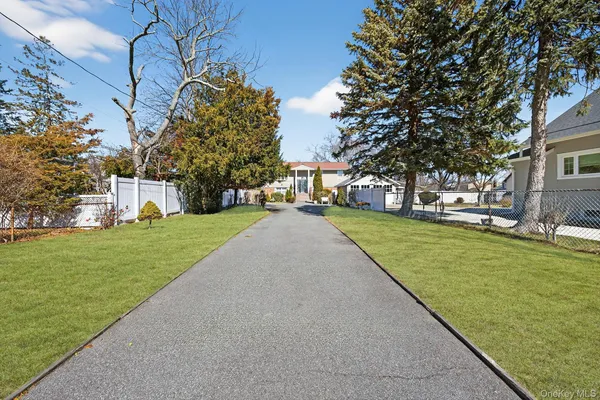 a view of a park with large trees