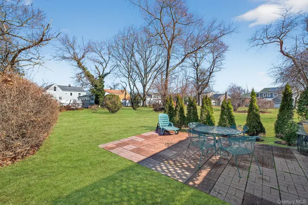 a view of a yard with plants and trees