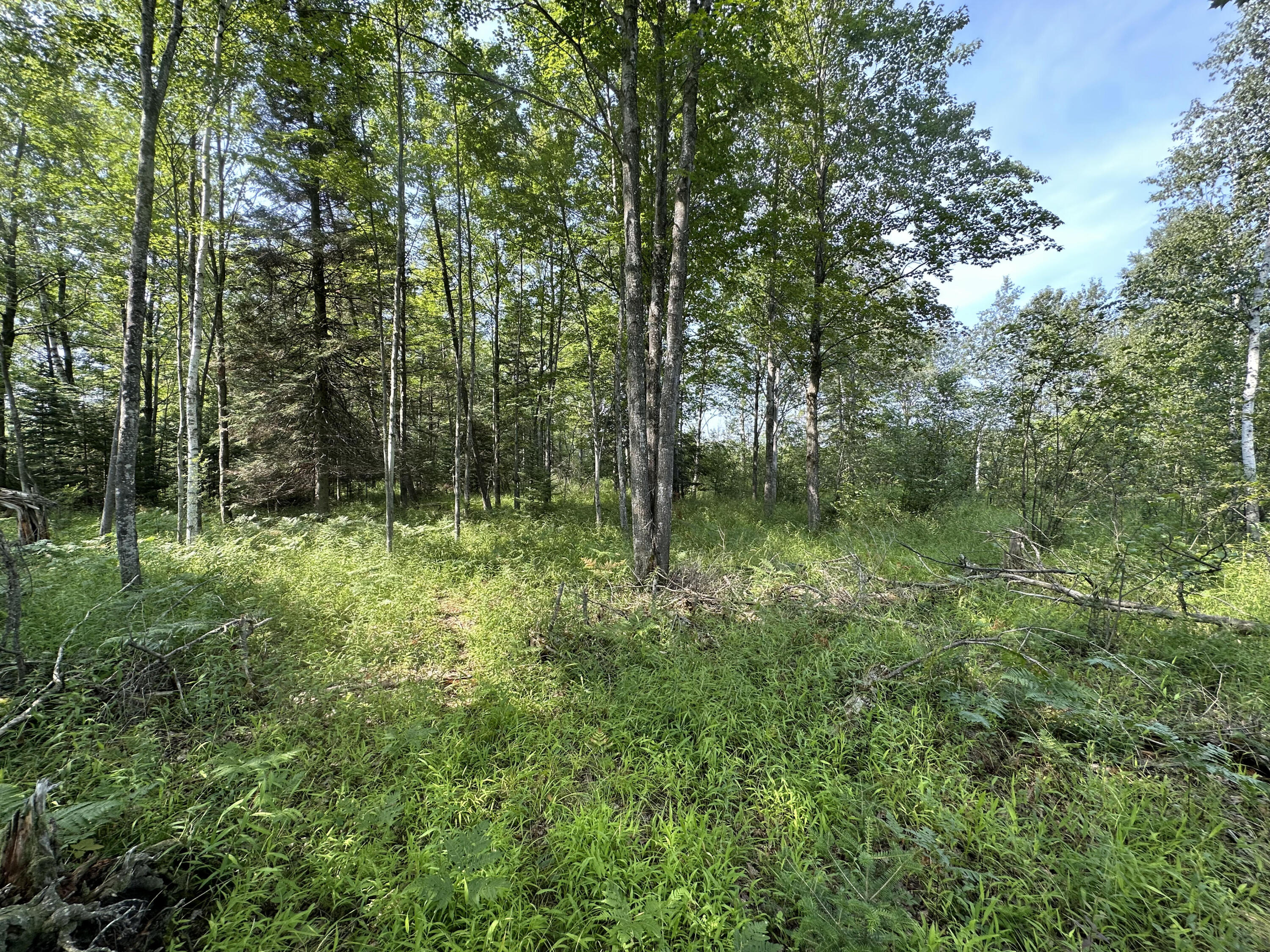 0 West Bawkey Road Farwell, MI 48622 - Photo 16 of 28 IMG_7548
