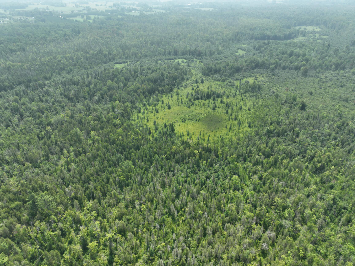 0 West Bawkey Road Farwell, MI 48622 - Photo 19 of 28 DJI_0498