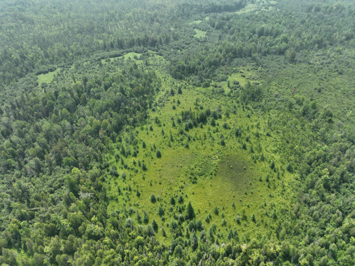 0 West Bawkey Road Farwell, MI 48622 - Photo 20 of 28 DJI_0500