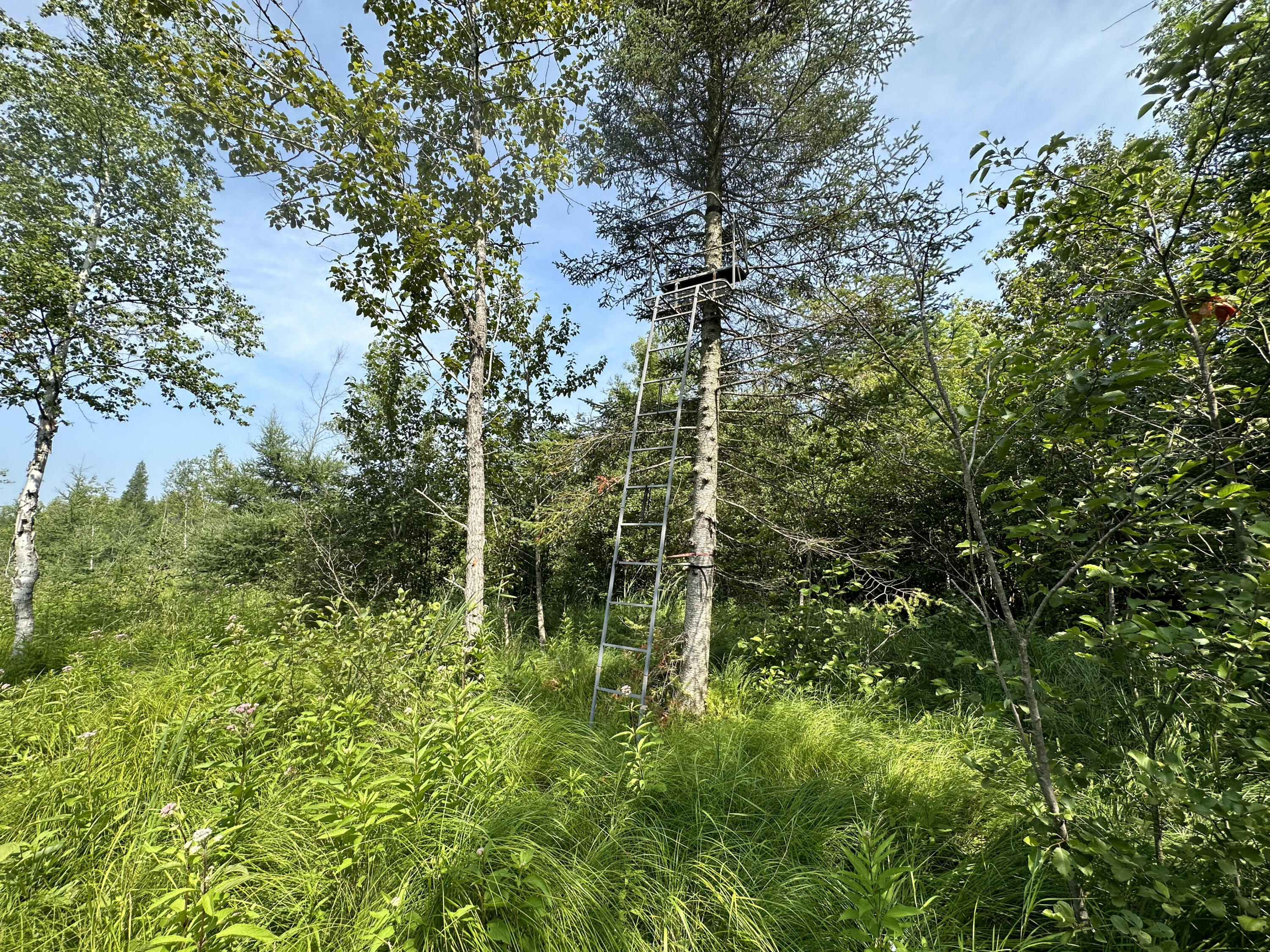 0 West Bawkey Road Farwell, MI 48622 - Photo 2 of 28 IMG_7542