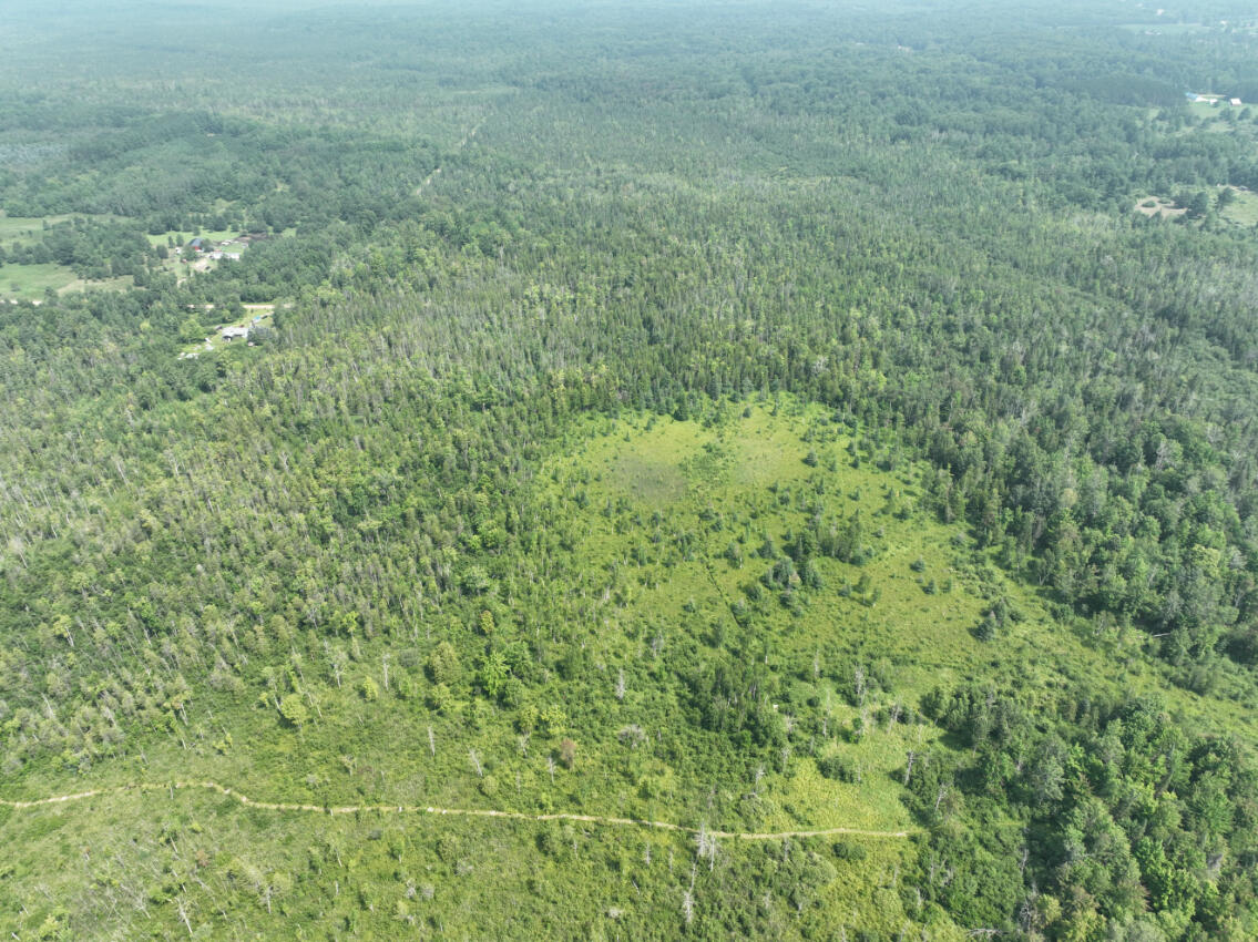 0 West Bawkey Road Farwell, MI 48622 - Photo 21 of 28 DJI_0505