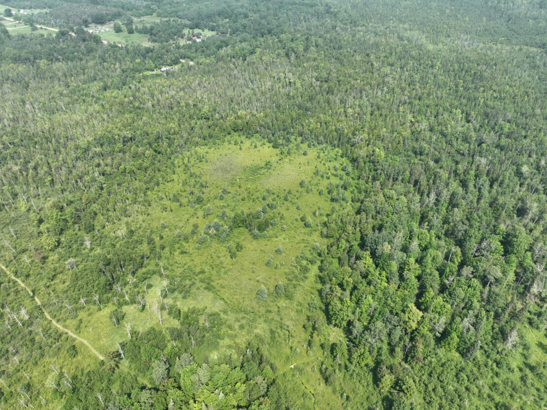 0 West Bawkey Road Farwell, MI 48622 - Photo 22 of 28 DJI_0501