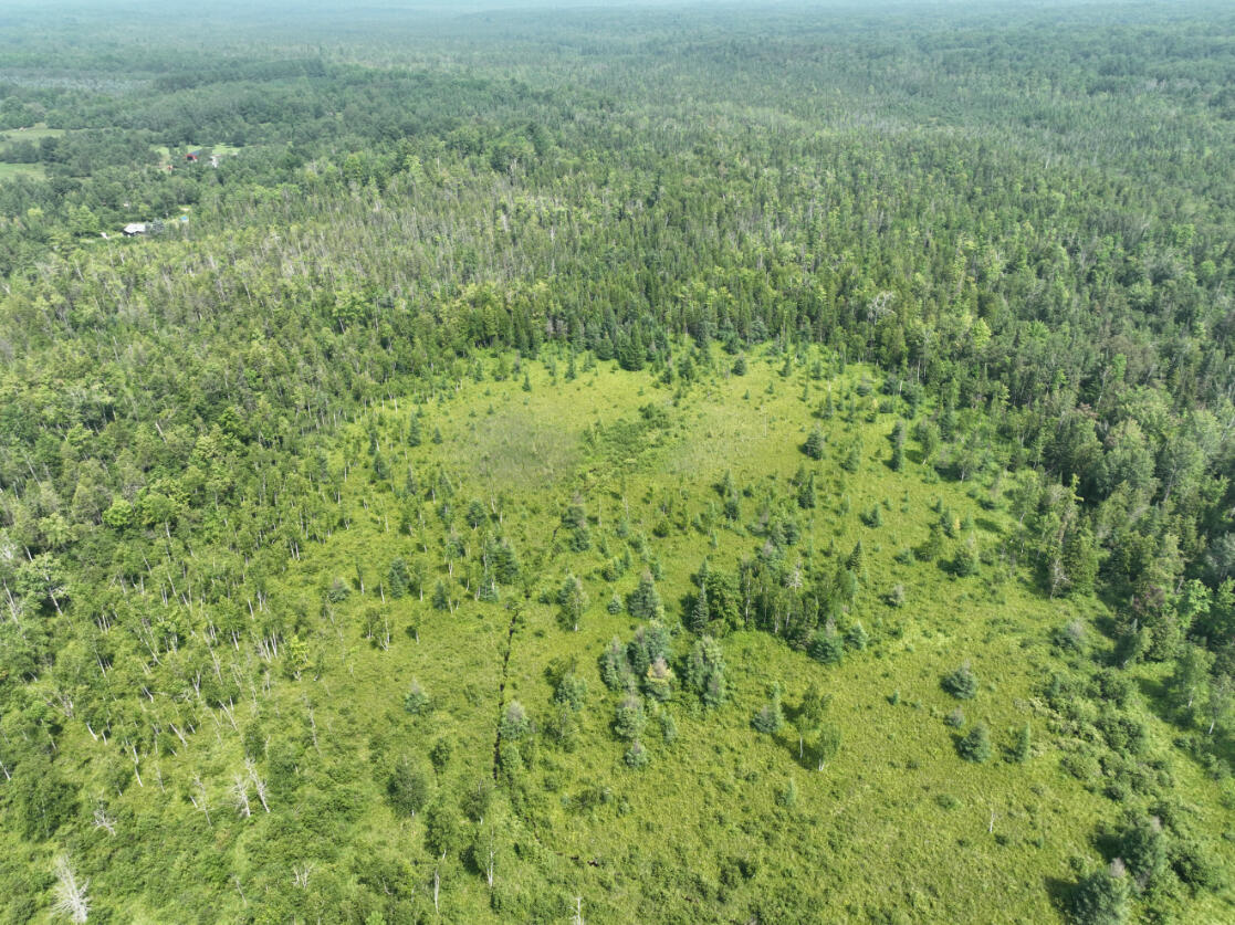 0 West Bawkey Road Farwell, MI 48622 - Photo 23 of 28 DJI_0510