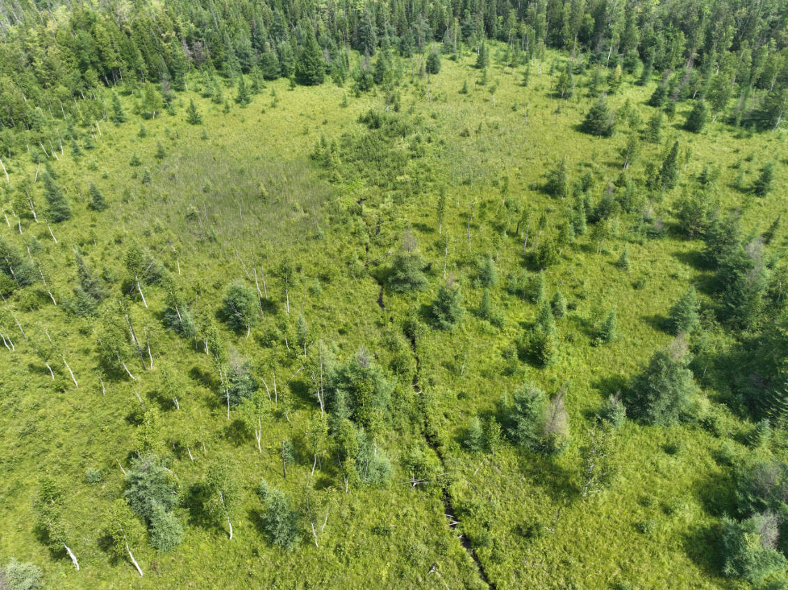 0 West Bawkey Road Farwell, MI 48622 - Photo 24 of 28 DJI_0511