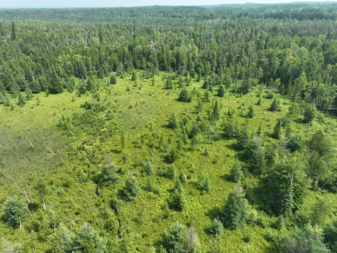 0 West Bawkey Road Farwell, MI 48622 - Photo 25 of 28 DJI_0513