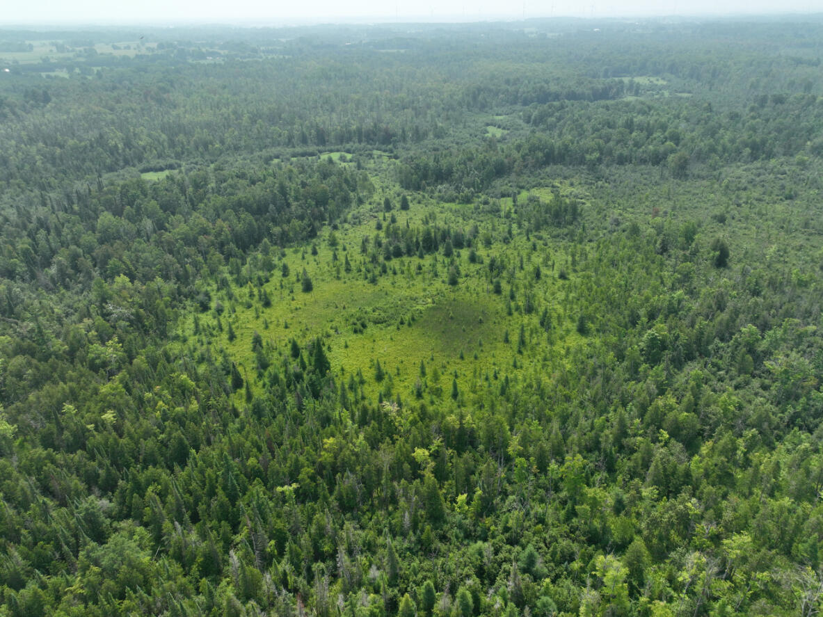 0 West Bawkey Road Farwell, MI 48622 - Photo 26 of 28 DJI_0514