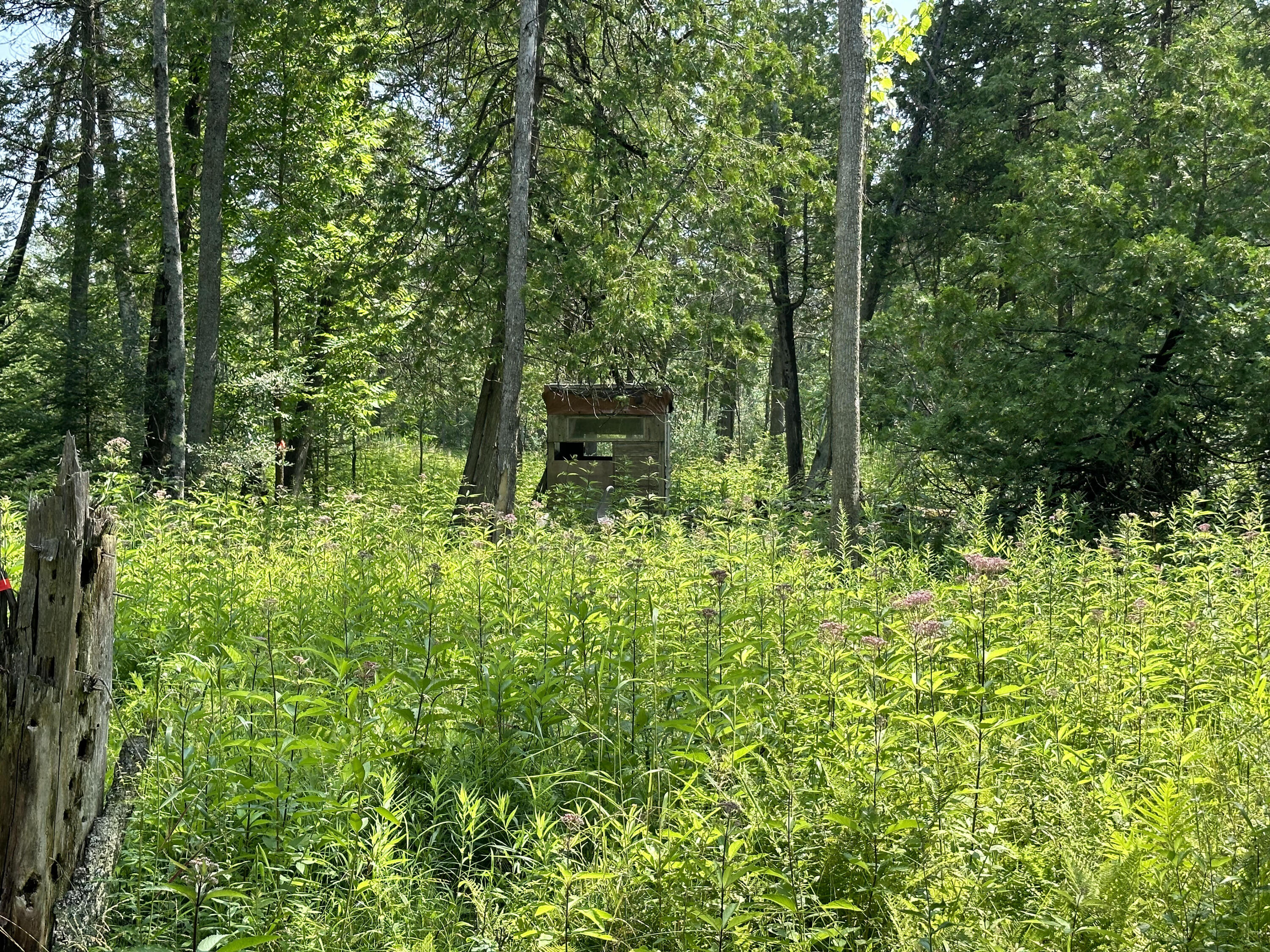 0 West Bawkey Road Farwell, MI 48622 - Photo 6 of 28 IMG_7539