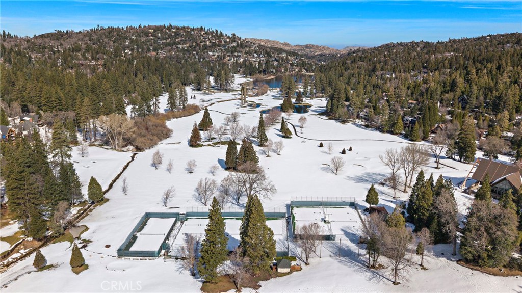 180 Grass Valley Road, Unit 20 Lake Arrowhead, CA 92352 - Photo 52 of 67