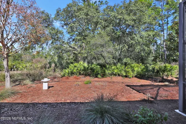a view of a park with a tree