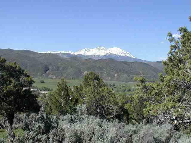 250 Ridge Road Basalt, CO 81621 - Photo 3 of 3 a view of a mountain range in a field