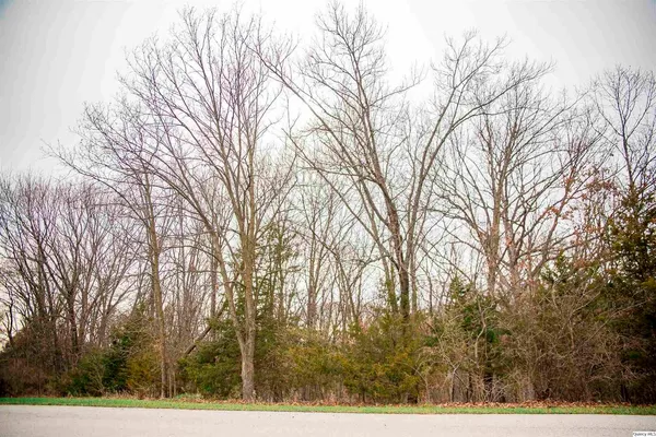 a view of outdoor space